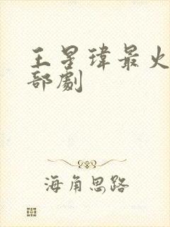 王星玮最火的三部剧
