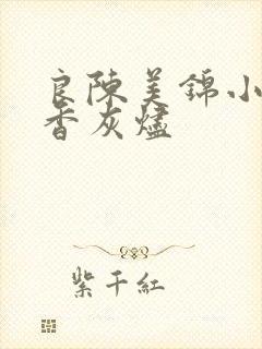 良陈美锦小说沉香灰烬