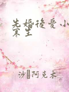 先婚后爱小说秋寒生