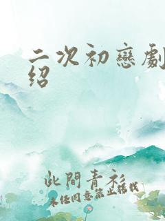 二次初恋剧情介绍