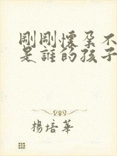 刚刚怀孕不知道是谁的孩子怎么办