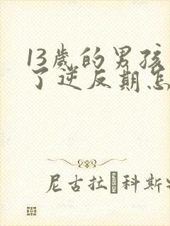 13岁的男孩到了逆反期怎么教
