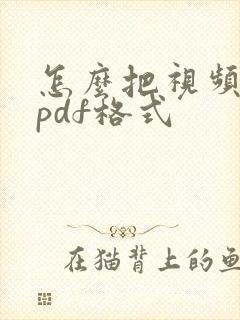 怎么把视频做成pdf格式