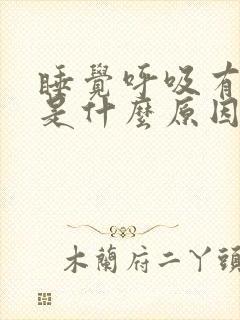 睡觉呼吸有声音是什么原因