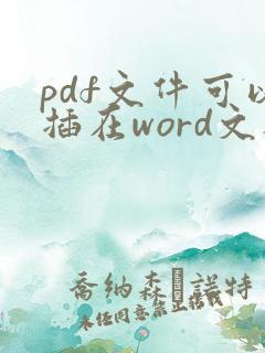 pdf文件可以插在word文档里面吗