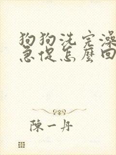 狗狗洗完澡喘气急促怎么回事