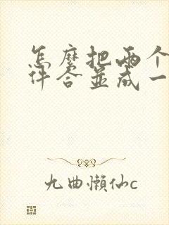 怎么把两个扫描件合并成一个文件