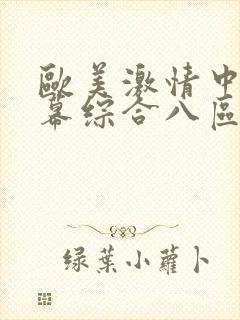 欧美激情中文字幕综合八区
