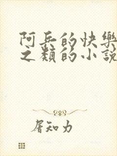 阿兵的快乐生活之类的小说