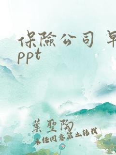 保险公司 早会ppt