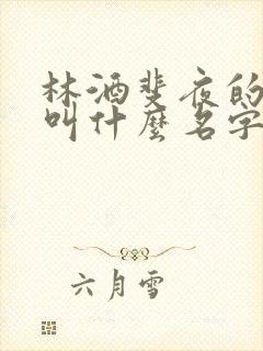 林酒斐夜的小说叫什么名字