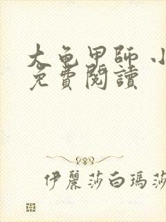 大龟甲师 小说免费阅读
