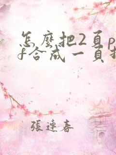 怎么把2页pdf合成一页打印