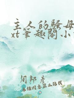 主人的骚母狗txt笔趣阁小说