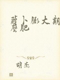 萝卜膨大期施什么肥