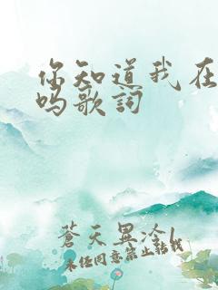 你知道我在想你吗歌词