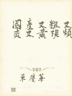 国产又粗又猛又爽又黄视频在线观看