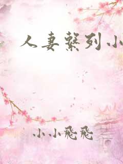 人妻系列小说网