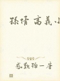 孙倩 高义小说