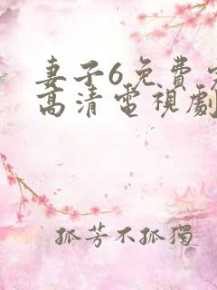 妻子6免费完整高清电视剧在线观看