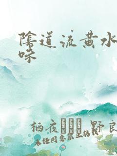 阴道流黄水有异味