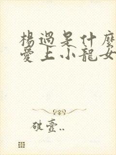 杨过是什么时候爱上小龙女的