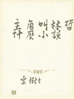 主角叫林哲的是什么小说