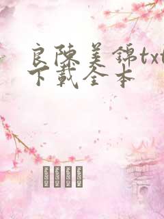 良陈美锦txt下载全本