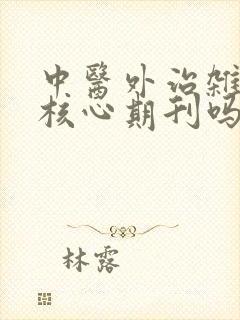 中医外治杂志是核心期刊吗
