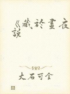 《藏于昼夜》小说