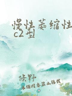 慢性萎缩性胃炎 c2型
