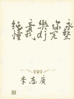 纯音乐你永远不懂我dj完整版