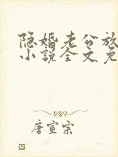 隐婚老公放肆宠小说全文免费阅读