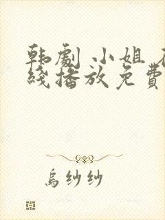 韩剧 小姐 在线播放免费观看
