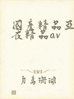 国产精品亚洲午夜精品av