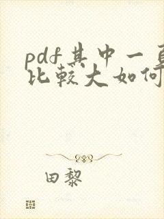 pdf其中一页比较大如何修改