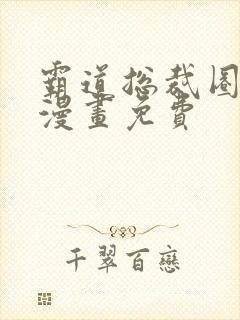 霸道总裁圈爱记漫画免费