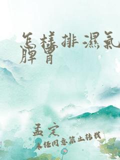 怎样排湿气调理脾胃