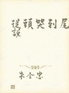 从头哭到尾的小说