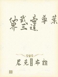 仙武帝尊叶辰六界三道