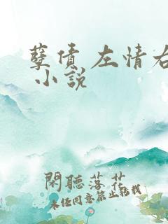 孽债 左情右爱 小说