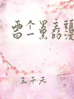 两个男主头发一白一黑的漫画