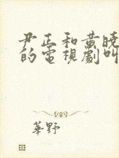 尹正和黄晓明演的电视剧叫什么名字