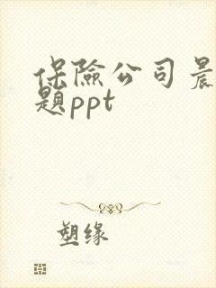 保险公司晨会专题ppt