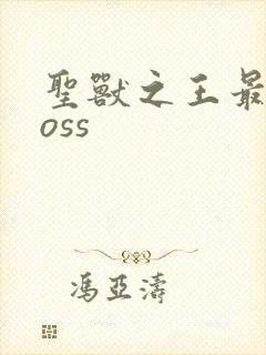 圣兽之王最终boss