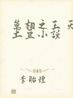 万相之王 天蚕土豆小说