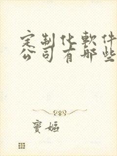 定制化软件开发公司有哪些