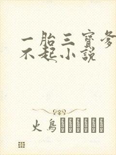 一胎三宝爹地惹不起小说