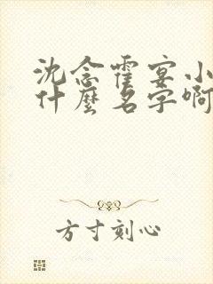 沈念霍宴小说叫什么名字啊