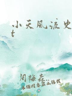 小天风流史txt